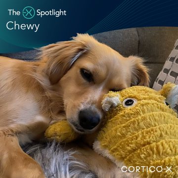 5226_01_LinkedInAd_ChewysV1